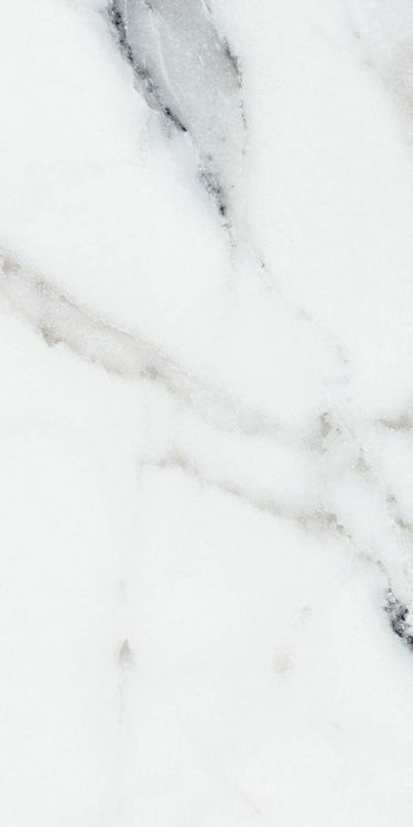 Origines Argent Glossy 12 x 24